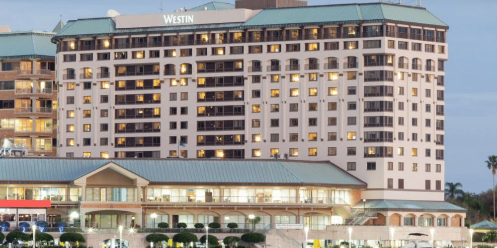 2024_digital-hands_westin-tampa-waterside_1000x500px